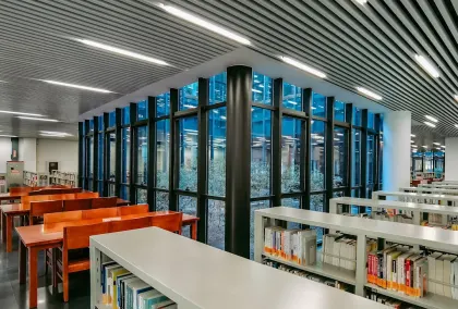 Kazino Lion Wins Mobilā lietotne